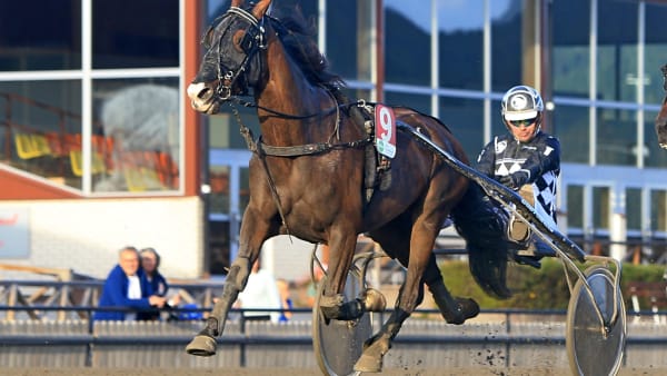 Foto: BERTH BRANDELL/GIRLPOWER