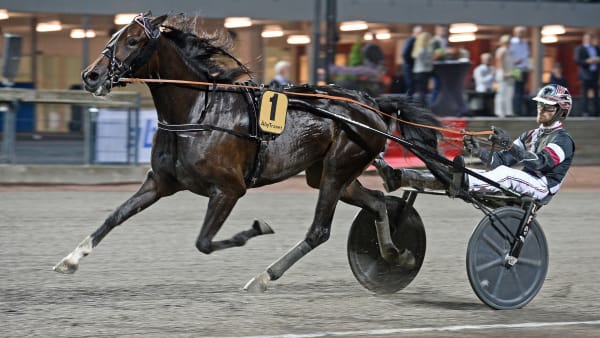 Foto: MALIN ALBINSSON / TR BILD