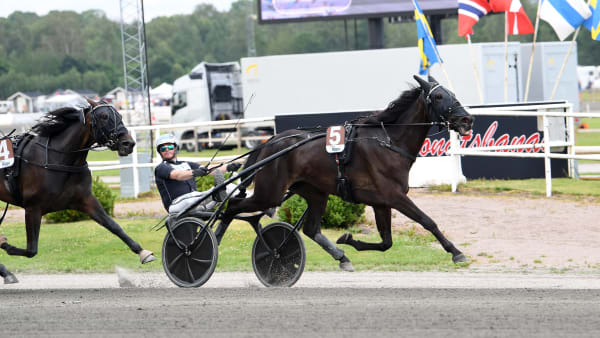 Foto: MALIN ALBINSSON / TR BILD