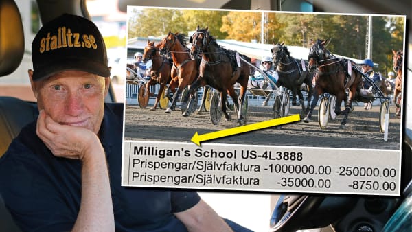 Foto: MARIA HOLMÉN/TR BILD & PRIVAT