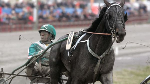 Foto: MICKE GUSTAFSSON/ALN