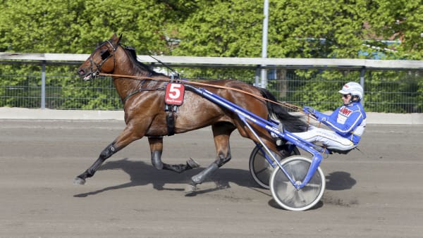 Foto: Anna Gerdmarker/TR BILD