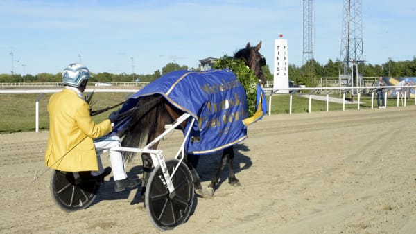 Foto: LARS JAKOBSSON / TR BILD