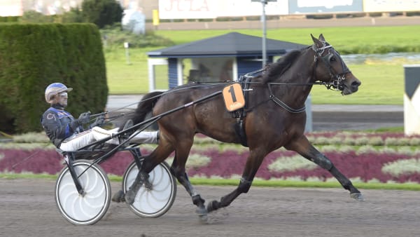 Foto: LARS JAKOBSSON / TR BILD