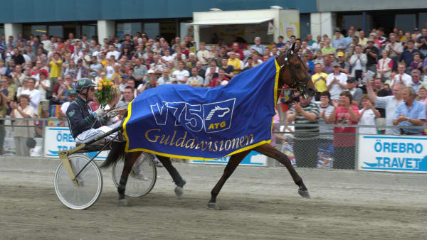 Foto: TOMMY ANDERSSON / ALN / TR BILD