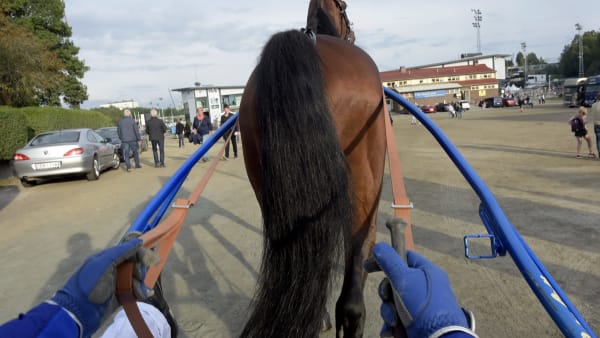 Foto: LARS JAKOBSSON / TR BILD