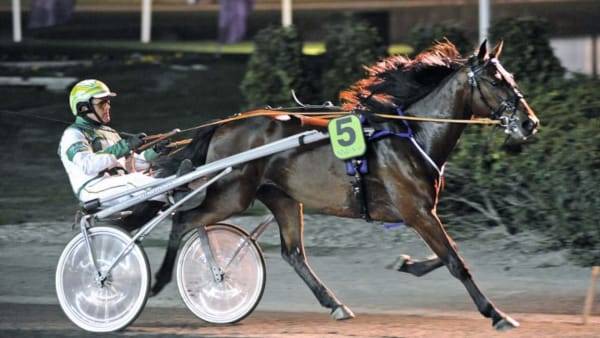 Foto: JÖRGEN TUFVESSON/ALN