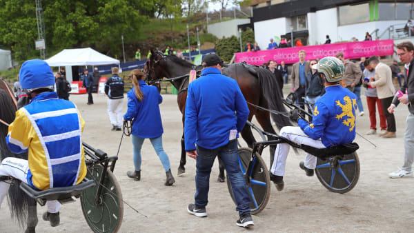 Foto: MARIA HOLMÉN / TR BILD