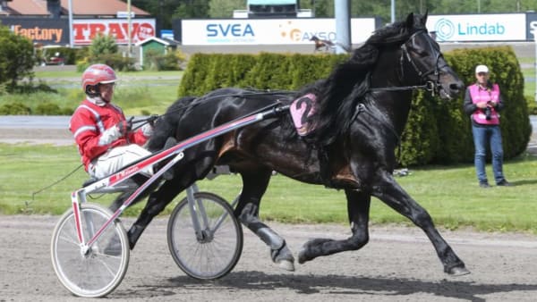 Foto: JEANNIE KARLSSON/TRAVRONDEN