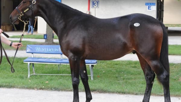 Foto: Stefan Melander/stalltz.se