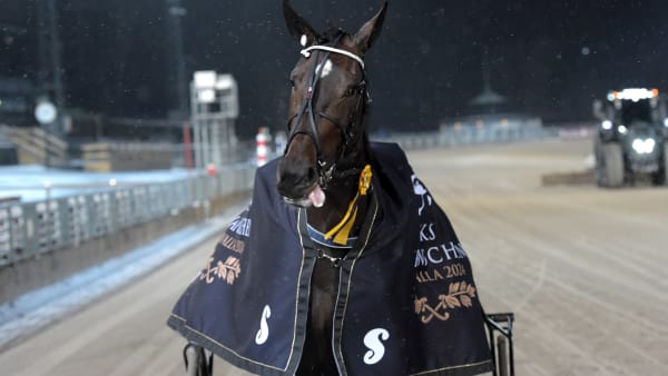 Foto: LARS JAKOBSSON / TR BILD