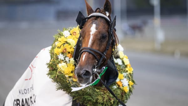 Foto: MORTEN SKIFJELD/HESTEGUIDEN