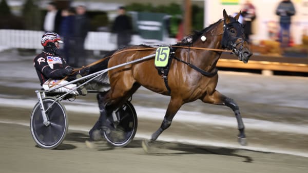 Foto: STEIN LARSEN/TRAV365.NO