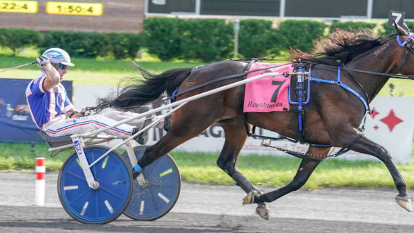 Foto: Thomas Blomqvist/TR Bild