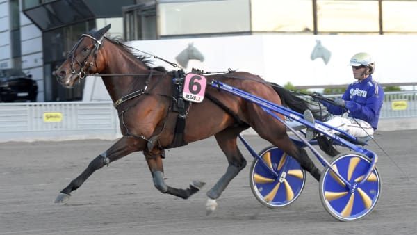 Foto: LARS JAKOBSSON / TR BILD