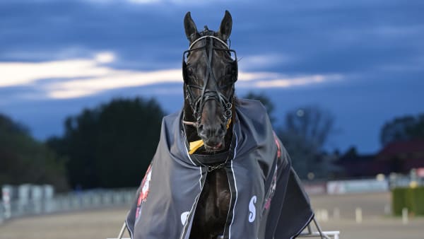 Foto: LARS JAKOBSSON / TR BILD