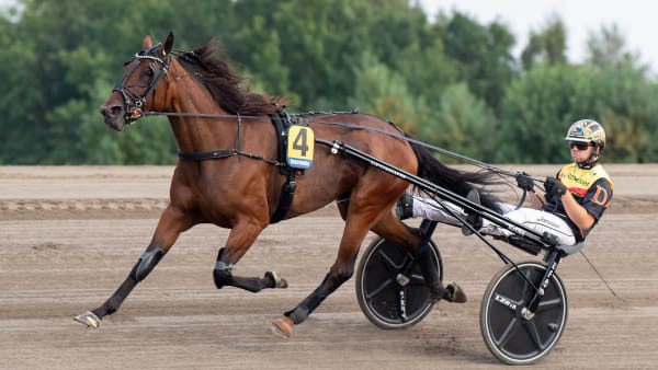 Foto: MIKAEL ROSENQUIST / TR BILD