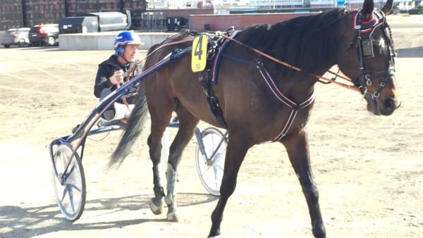 Foto: Richard Hjellström