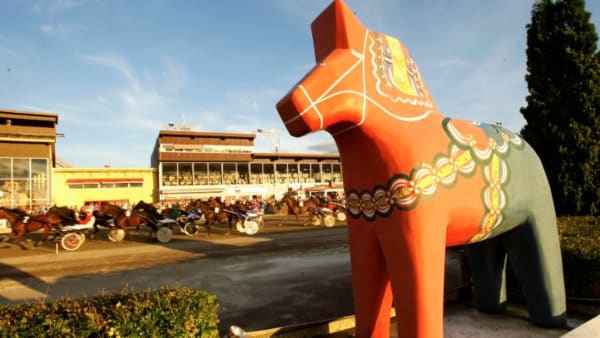 Foto: MICKE GUSTAFSSON/ALN