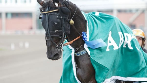 Foto: JEANNIE KARLSSON/TRAVRONDEN