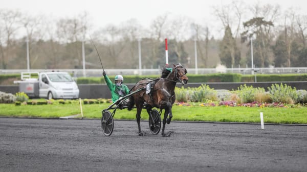 Foto: BRUNO VANDEVELDE/LE TROT