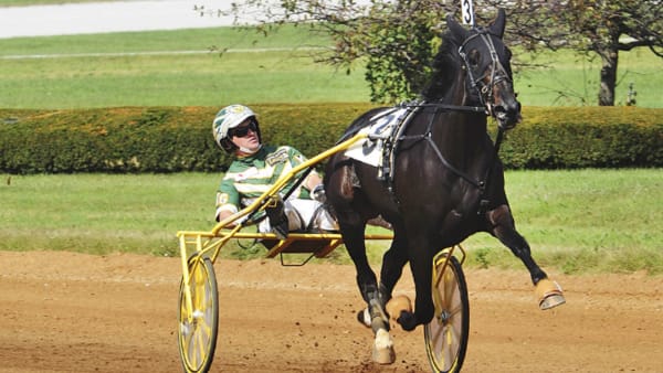 Foto: ADAM STRÖM/STALLTZ.SE