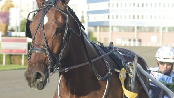 Foto: LEIF NORBERG/ALN