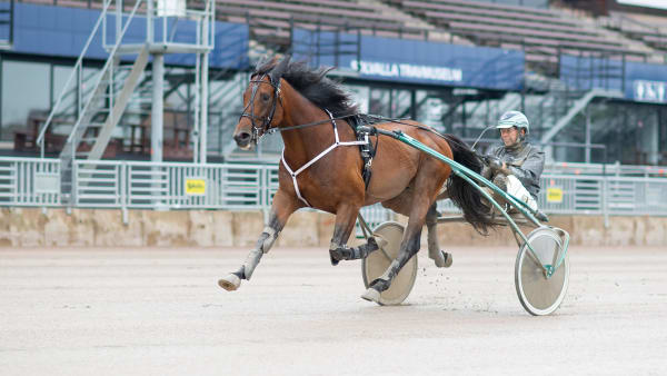 Foto: Emine Lundsten