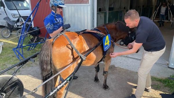 Foto: JONAS MÖLLER/TR BILD