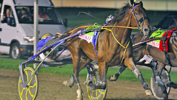 Foto: Albert Dilling