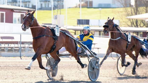 Foto: MIKAEL ROSENQUIST / TR BILD