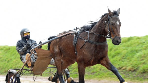 Foto: Lars Jakobsson/TR Bild