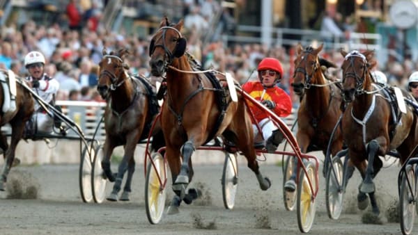 Foto: MICKE GUSTAFSSON/ALN