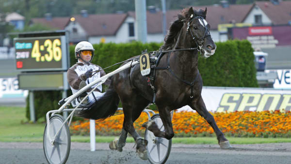 Foto: MATILDA ÖHRMAN / TR BILD