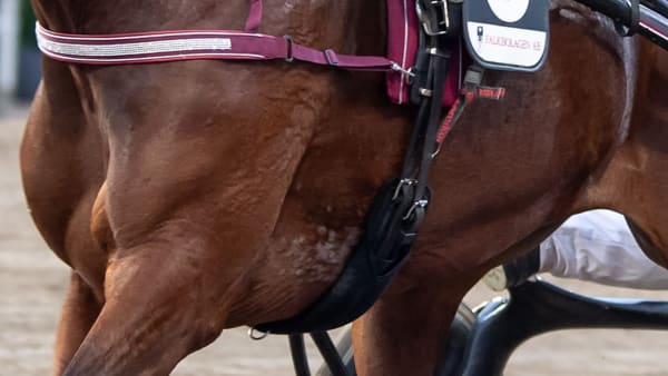 Foto: MIKAEL ROSENQUIST/TR BILD