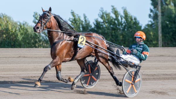 Foto: MIKAEL ROSENQUIST / TR BILD