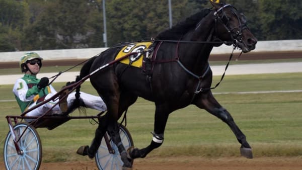 Foto: Stefan Melander/stalltz.se