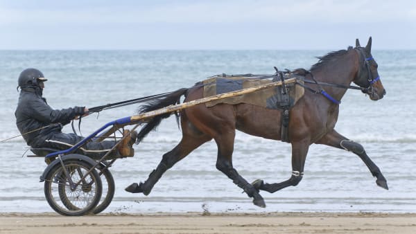 Foto: JEAN-LUC LAMAÈRE/TR BILD