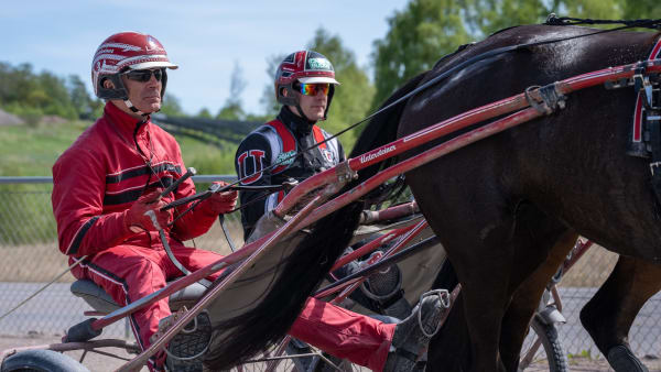 Foto: THOMAS BLOMQVIST / TR BILD