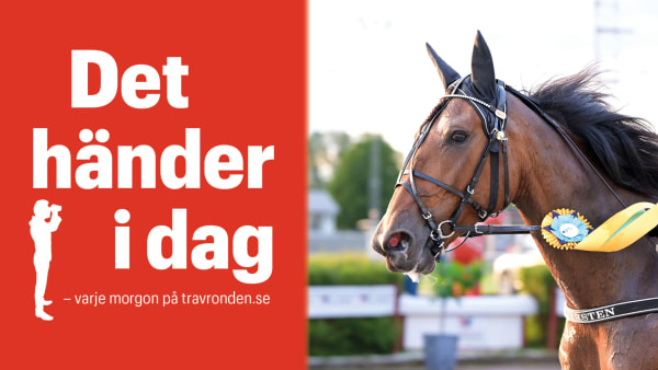 Foto: TR BILD