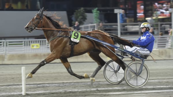 Foto: LARS JAKOBSSON / TR BILD