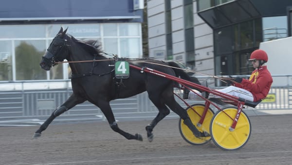 Foto: LARS JAKOBSSON / TR BILD