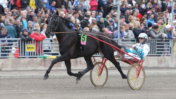 Foto: JEANNIE KARLSSON/TRAVRONDEN