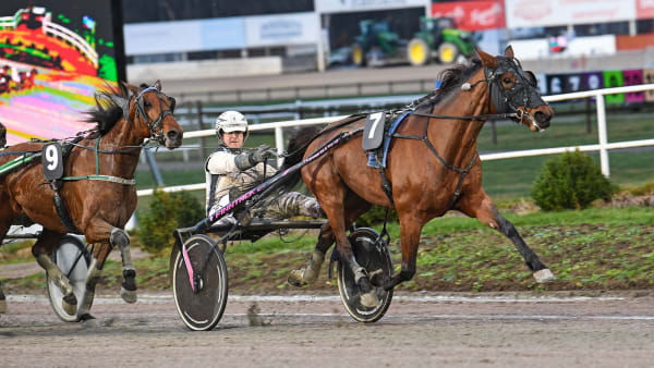 Foto: MALIN ALBINSSON / TR BILD