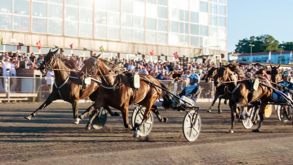 Foto: MIKAEL ROSENQUIST / TR BILD