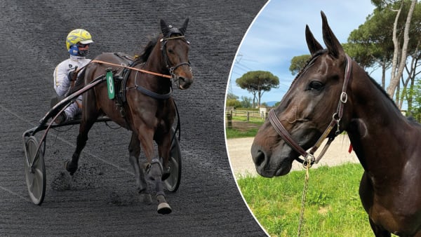 Foto: JLL/LETROT/PRIVAT