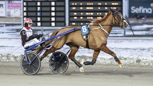 Foto: LENA EMMOTH / TR BILD