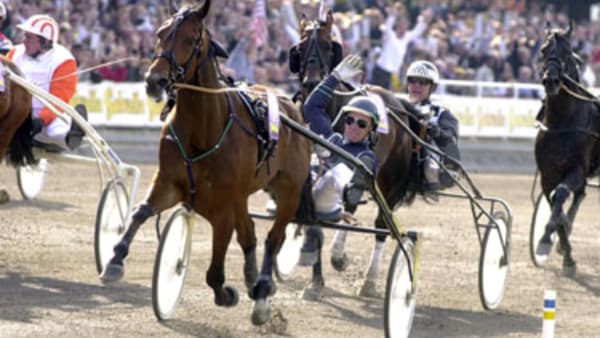 Victory Tilly har gjort sin sista start · Senaste nyheterna om trav