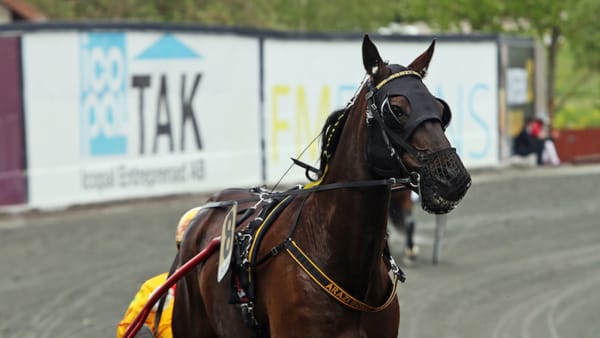 Foto: Matilda Öhrman/TR Bild