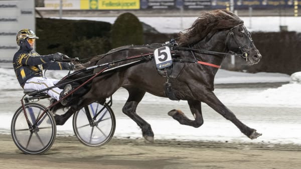 Foto: ANDERS KONGSRUD/HESTEGUIDEN